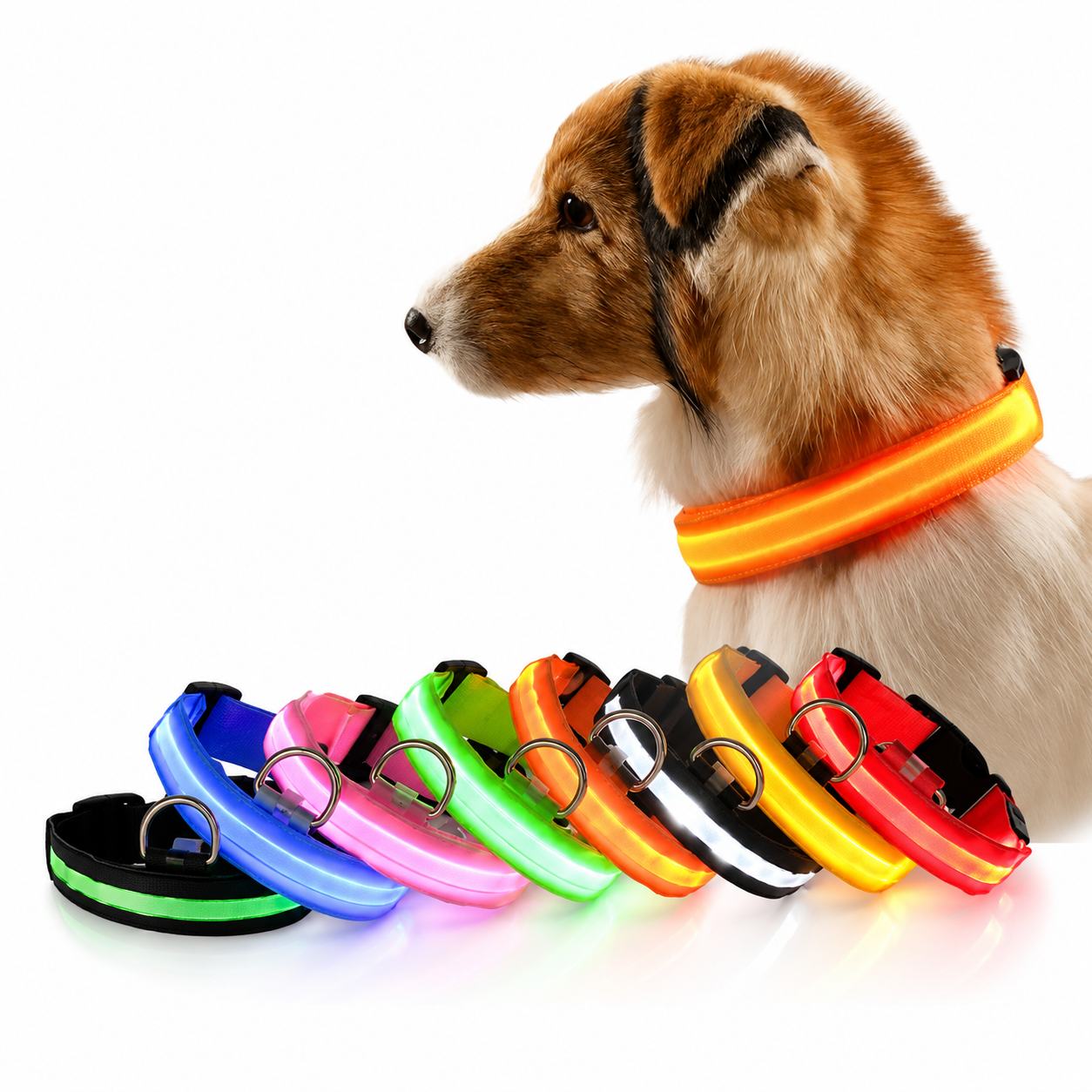 LED Pet Collar