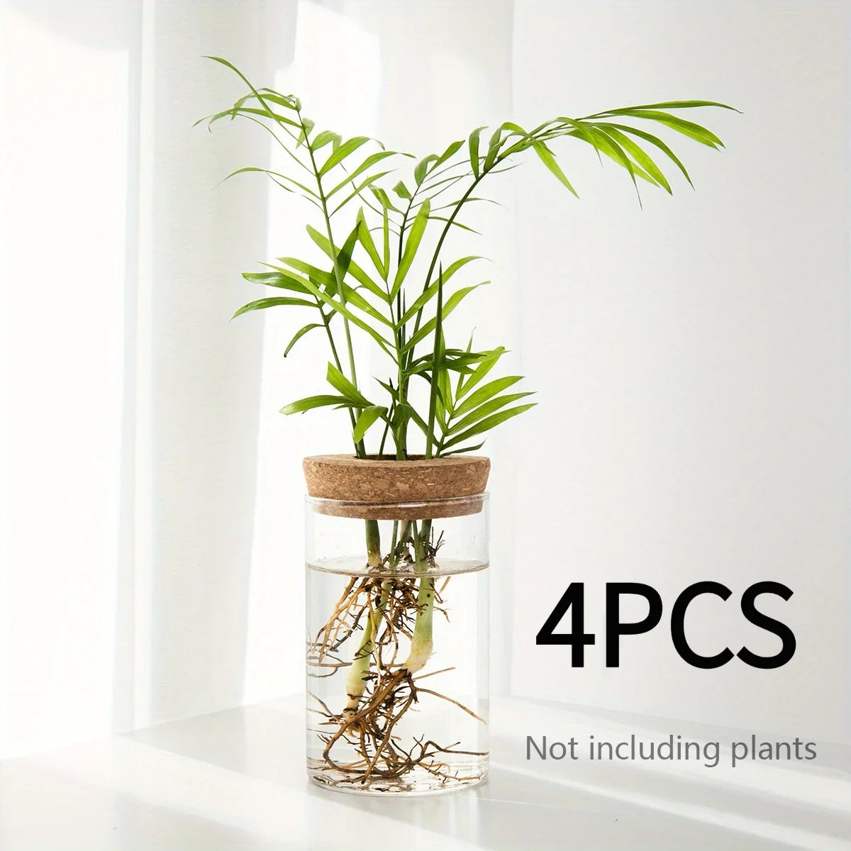 Bloom Glass Planter