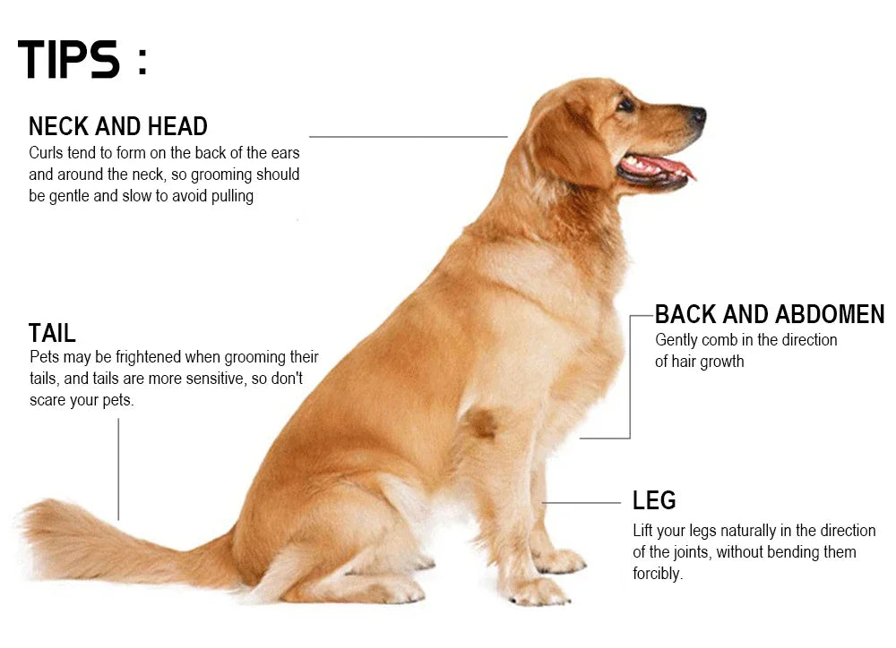 PawGlow Grooming Brush
