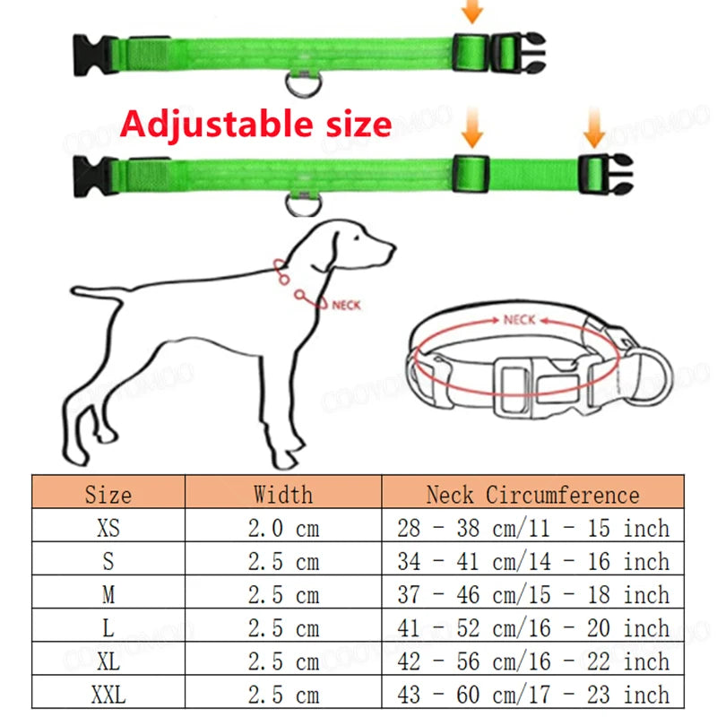 Rechargeable Glow Collar