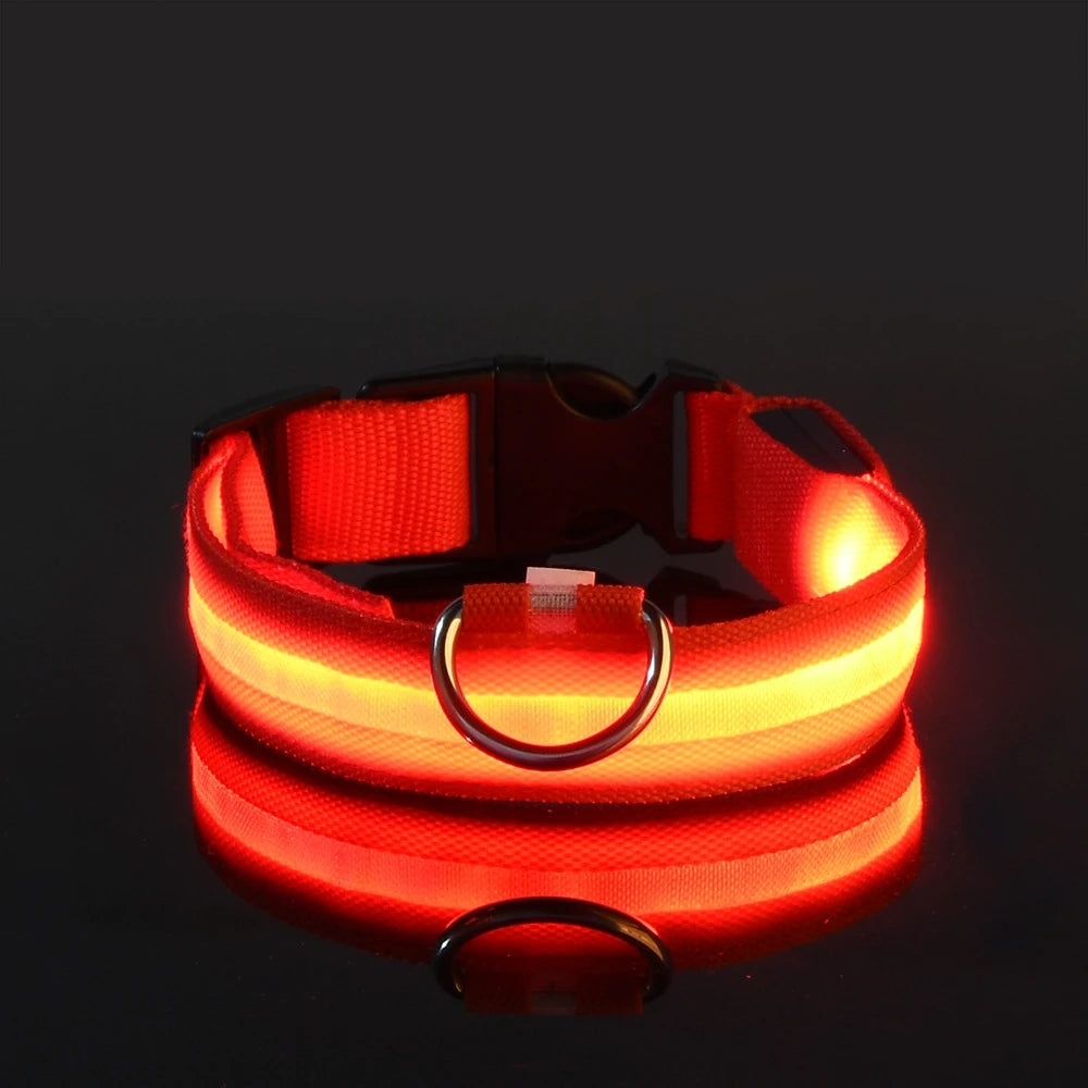 LED Pet Collar