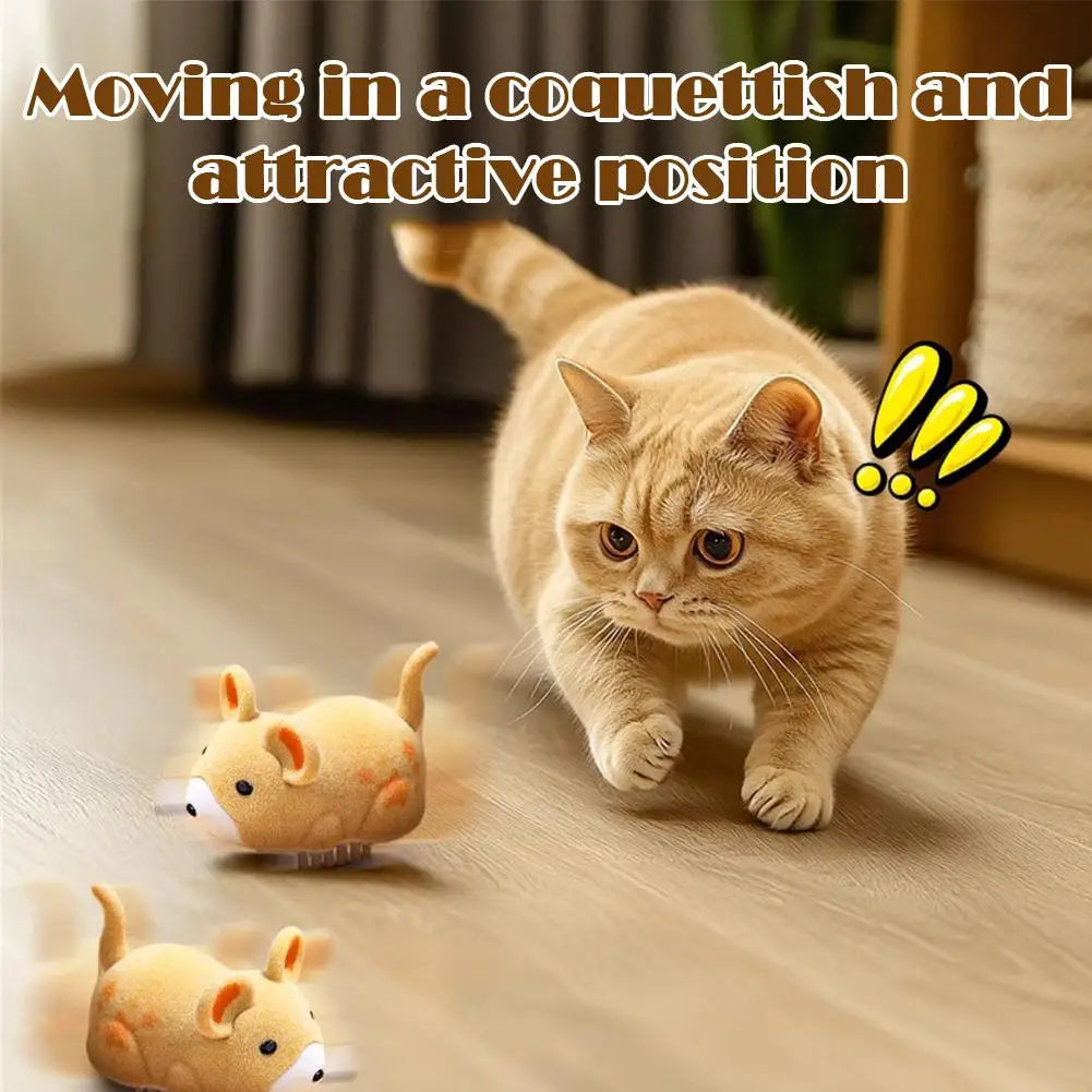Purr Chase Mouse
