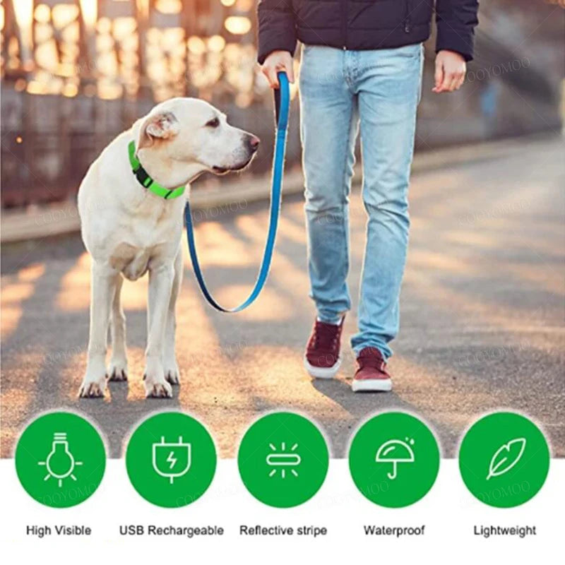 Rechargeable Glow Collar