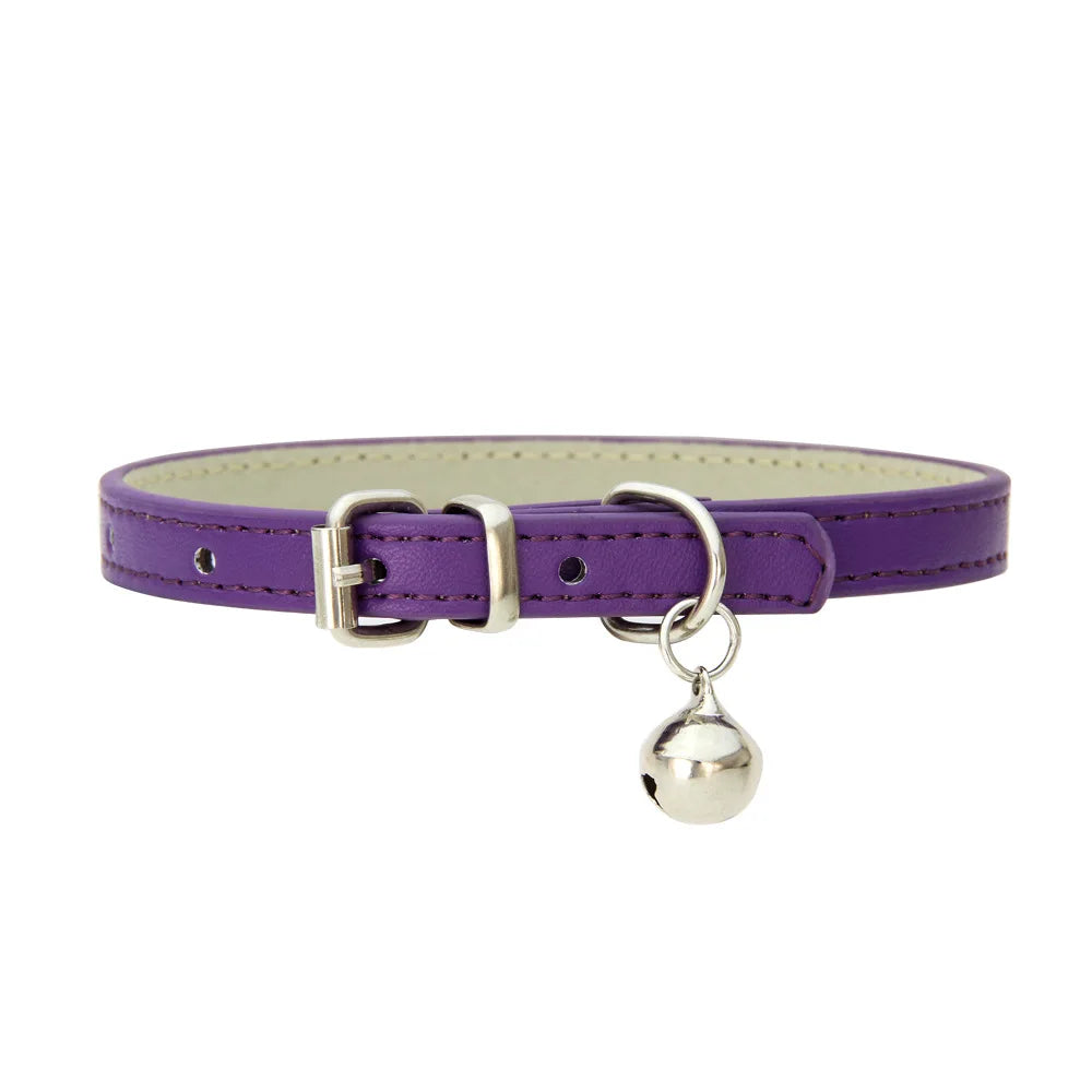 PetCharm Collar