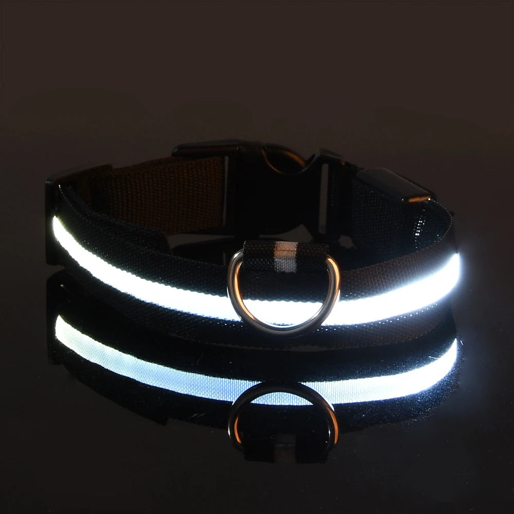LED Pet Collar