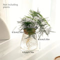 PureRoot Glass Vase