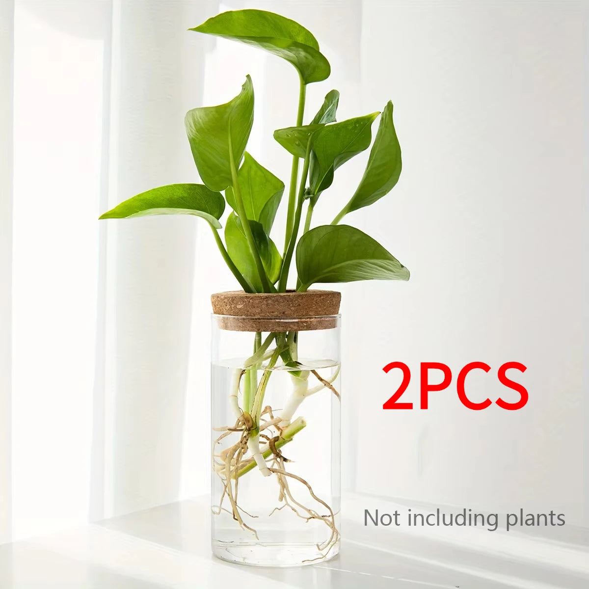 Bloom Glass Planter