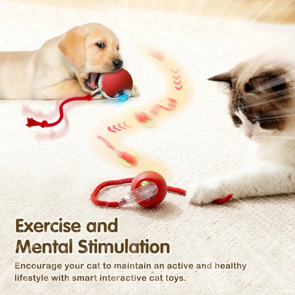 Cat Interactive Ball Toy
