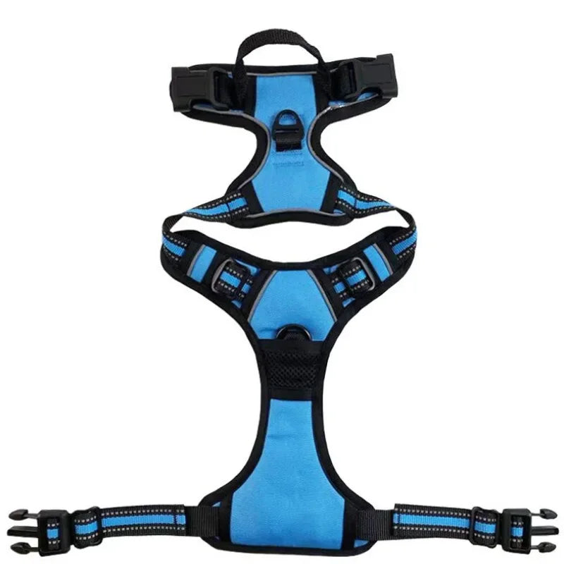 SafeFit Harness