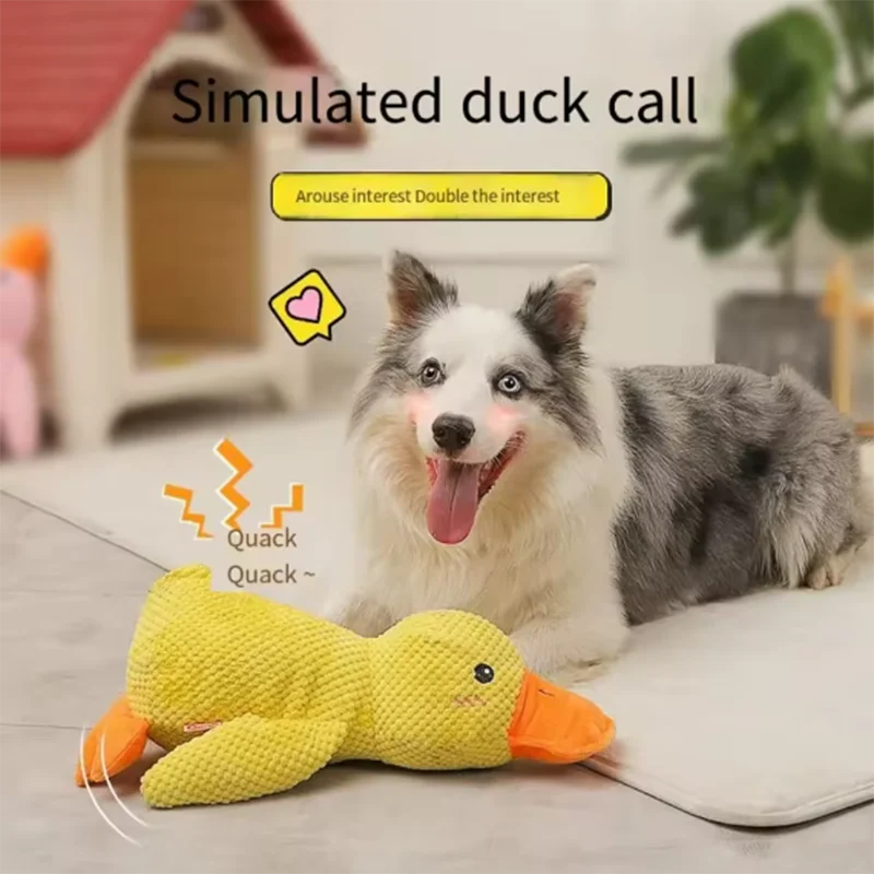 SnuggleDuck for Pets