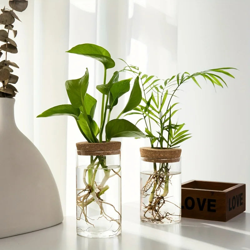Bloom Glass Planter