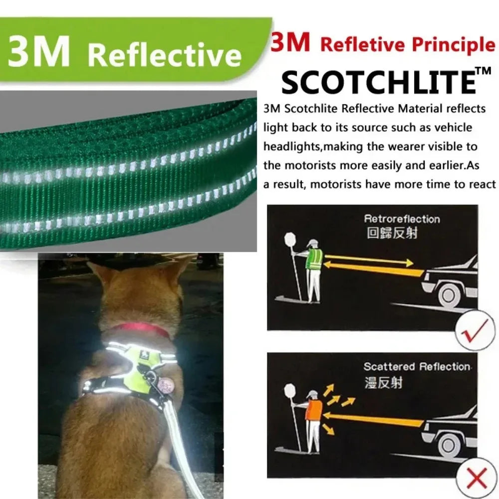 SafeFit Harness