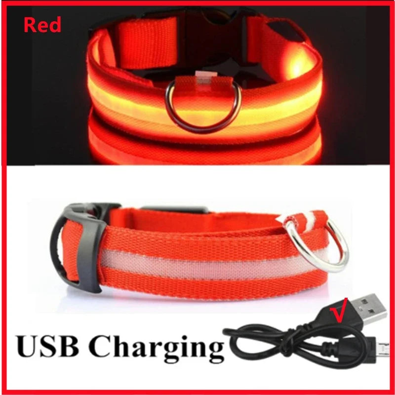Rechargeable Glow Collar