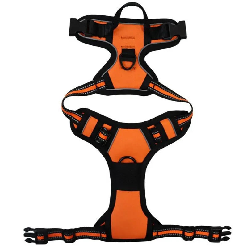 SafeFit Harness