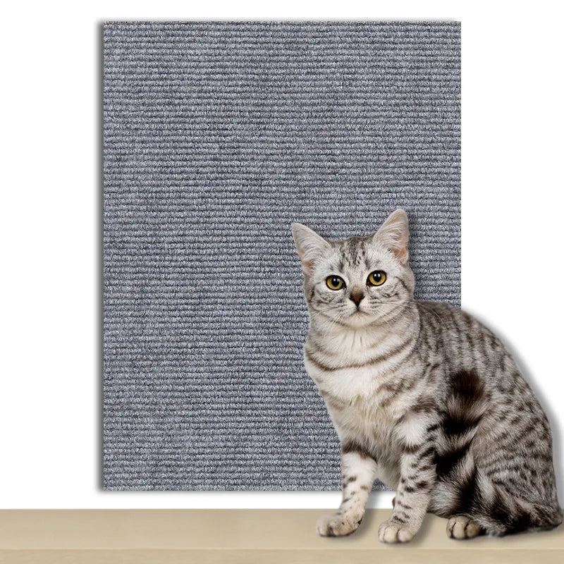 PawShield Mat