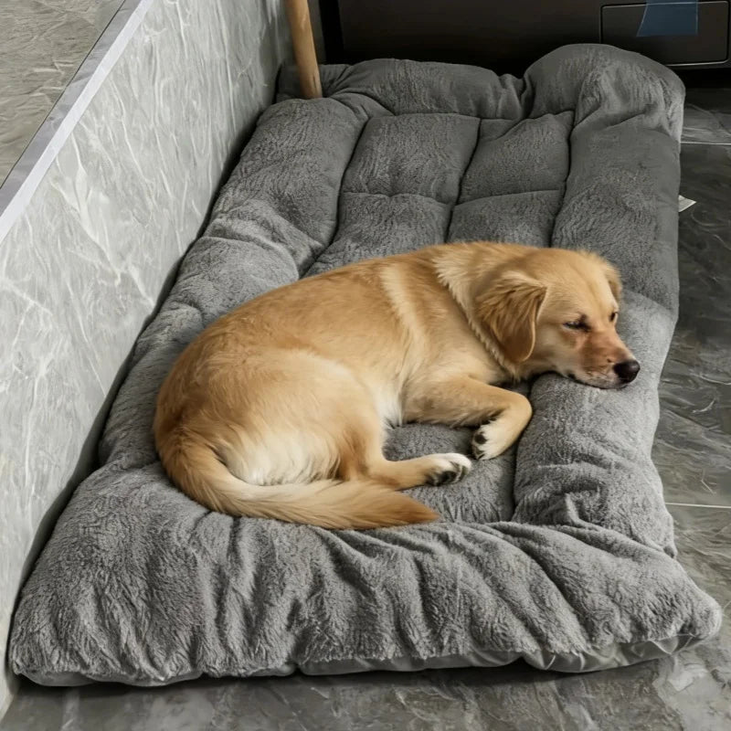 Paw Dream Bed
