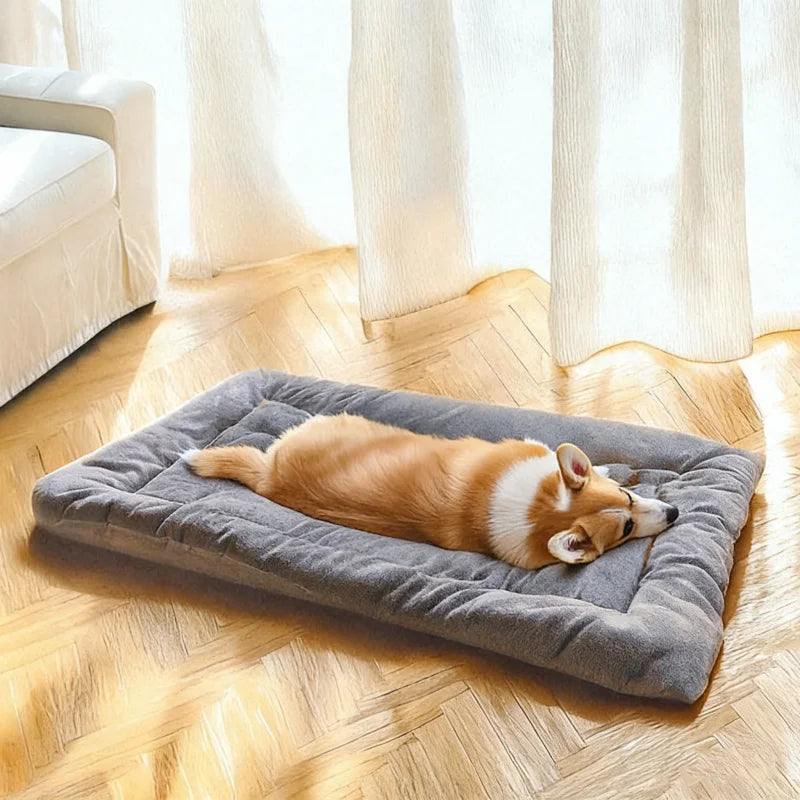 Paw Dream Bed