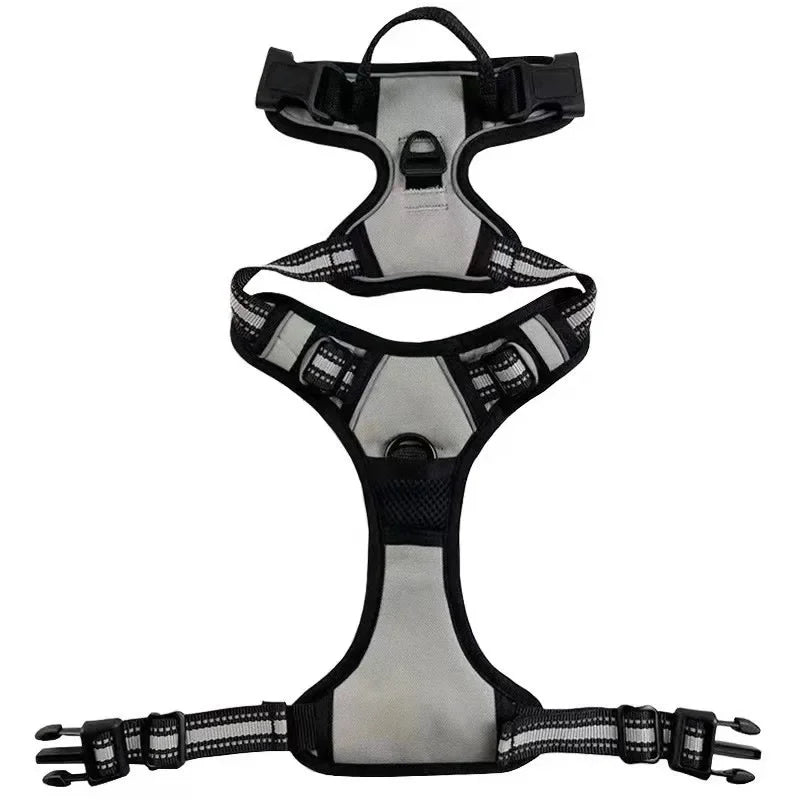 SafeFit Harness