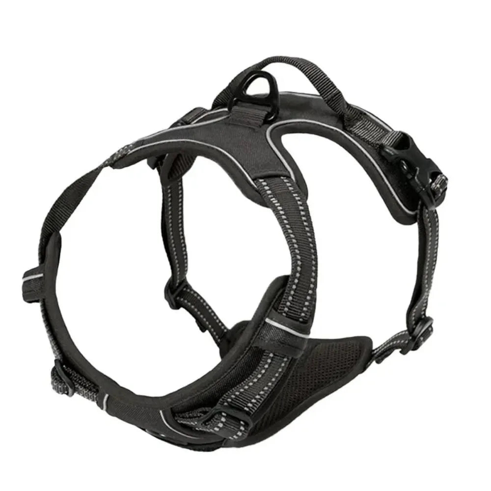 SafeFit Harness