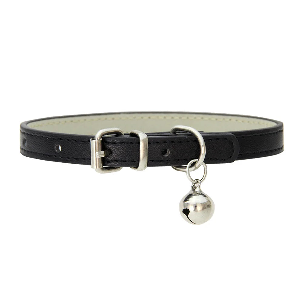 PetCharm Collar