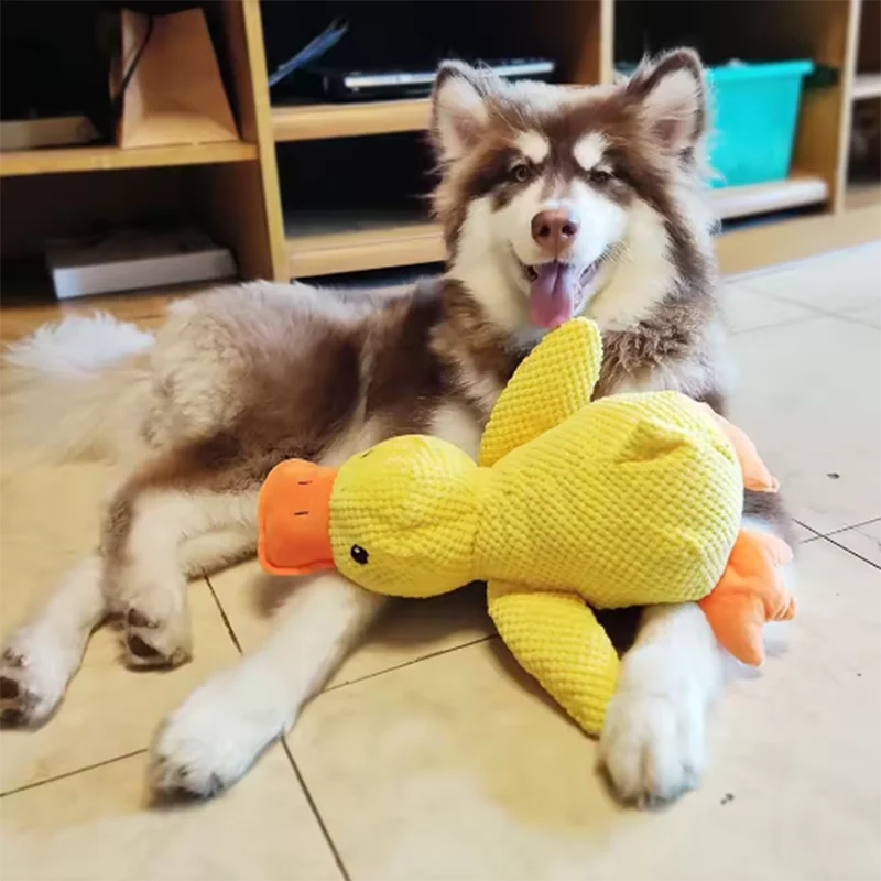 SnuggleDuck for Pets