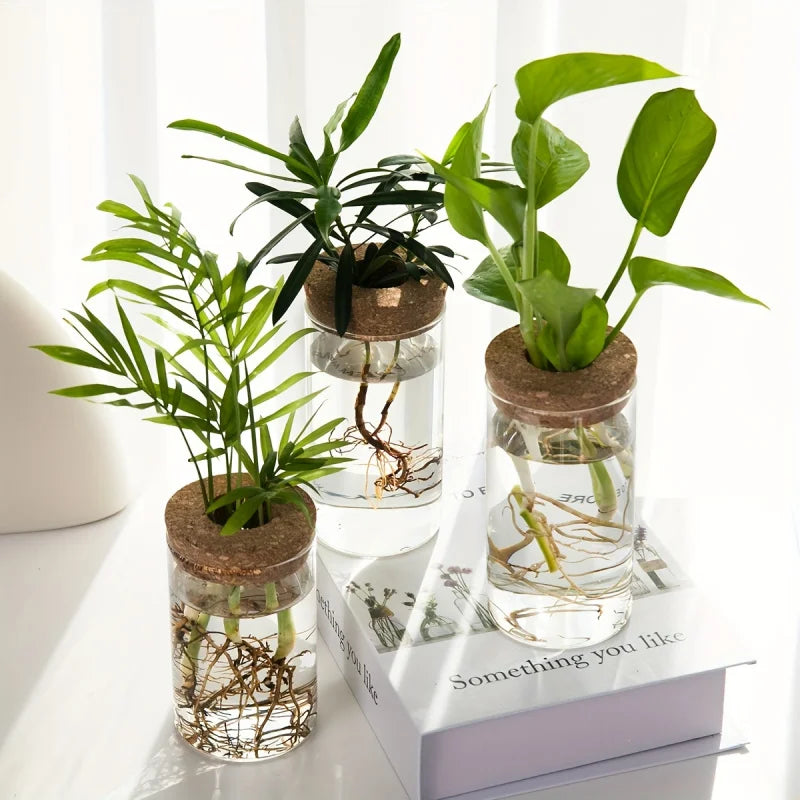 Bloom Glass Planter