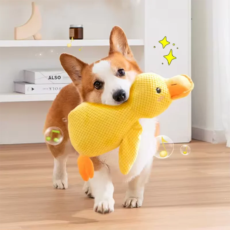SnuggleDuck for Pets