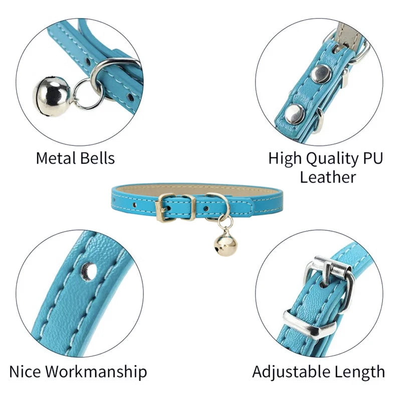 PetCharm Collar