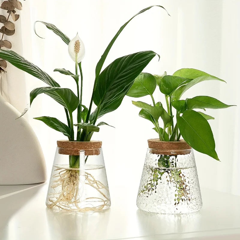 PureRoot Glass Vase