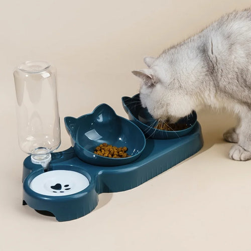 3-in-1 Pet Feeding Station