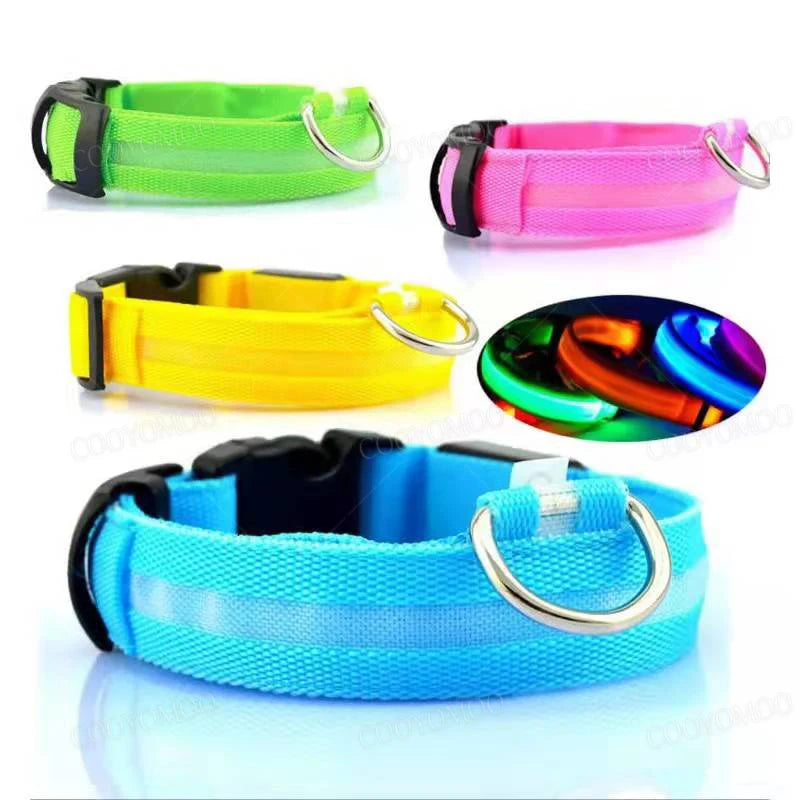 Rechargeable Glow Collar