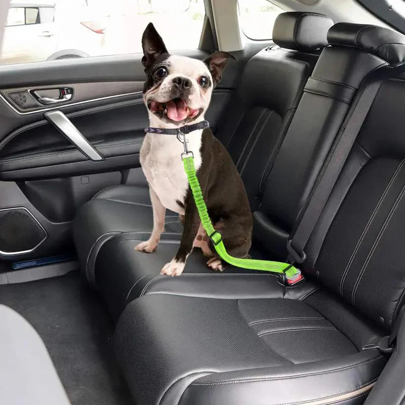 Paw Secure Pet Car Safety Belt