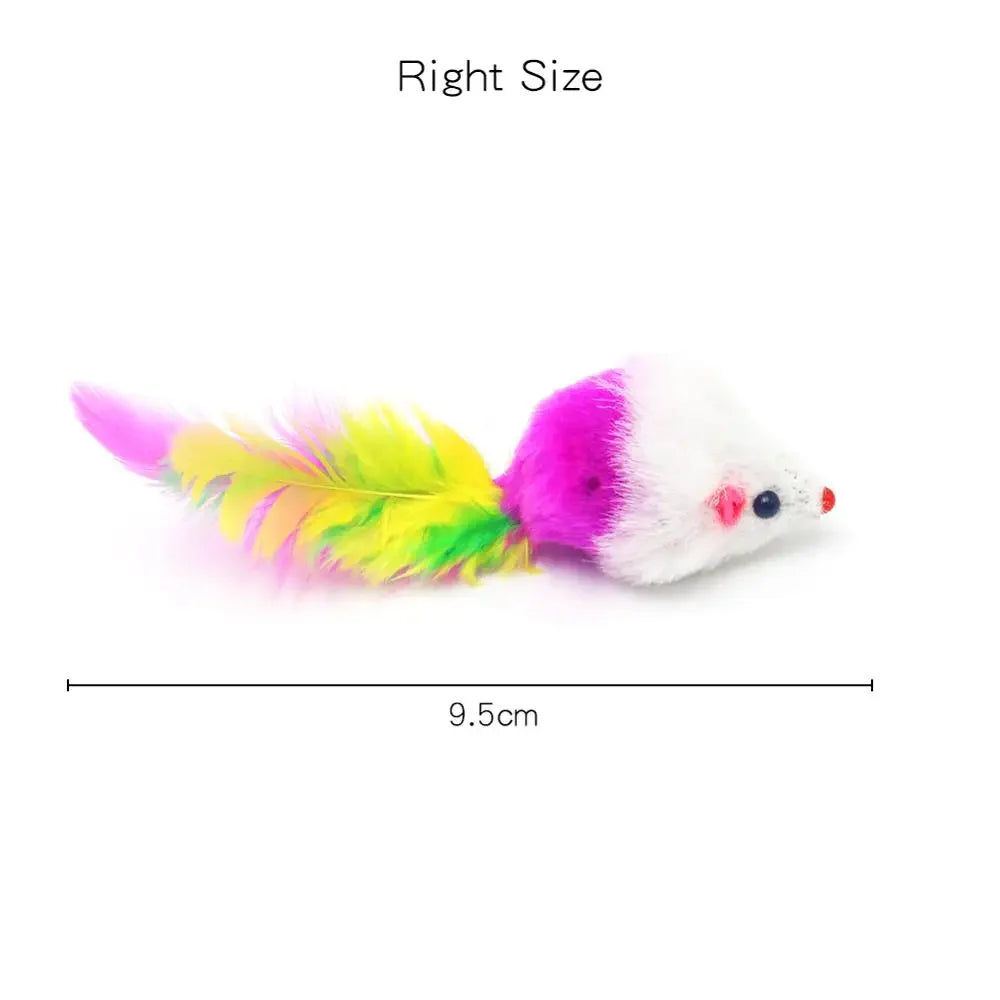 Rainbow Chaser