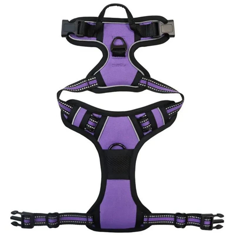 SafeFit Harness