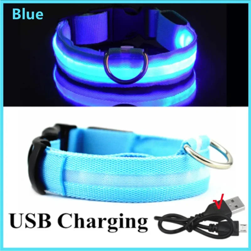 Rechargeable Glow Collar