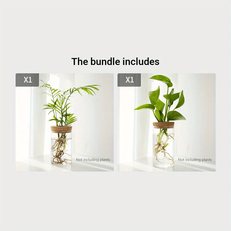 Bloom Glass Planter