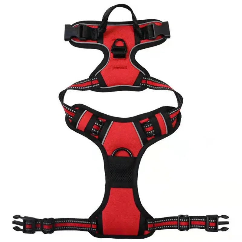 SafeFit Harness