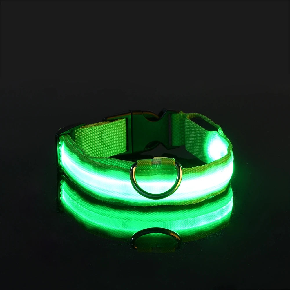 LED Pet Collar