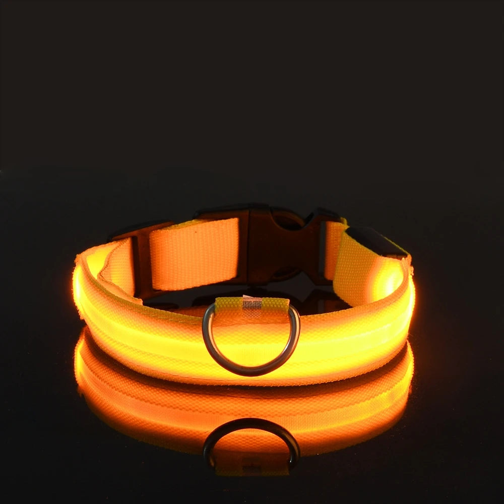 LED Pet Collar