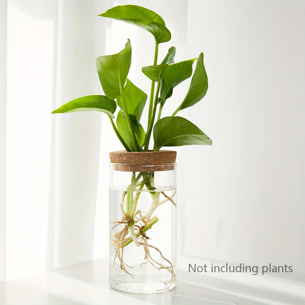 Bloom Glass Planter