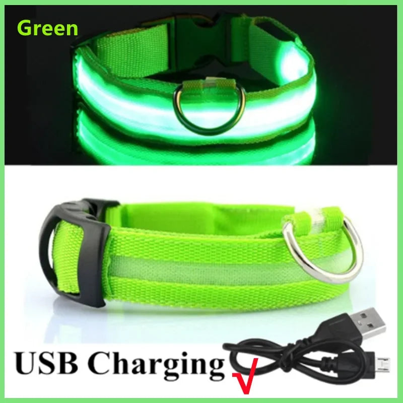 Rechargeable Glow Collar