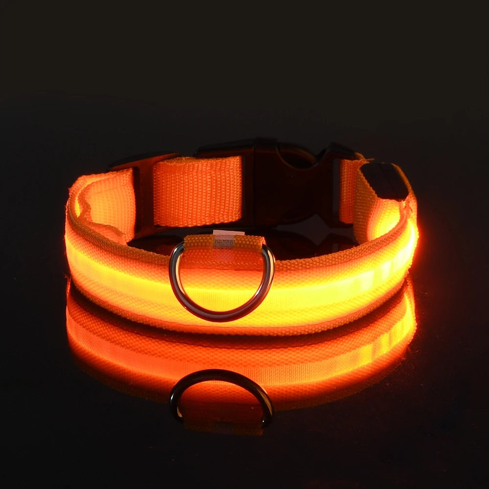 LED Pet Collar