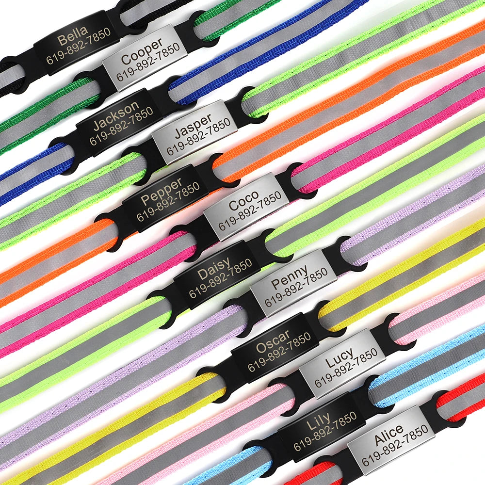 SafePaw ID Collar
