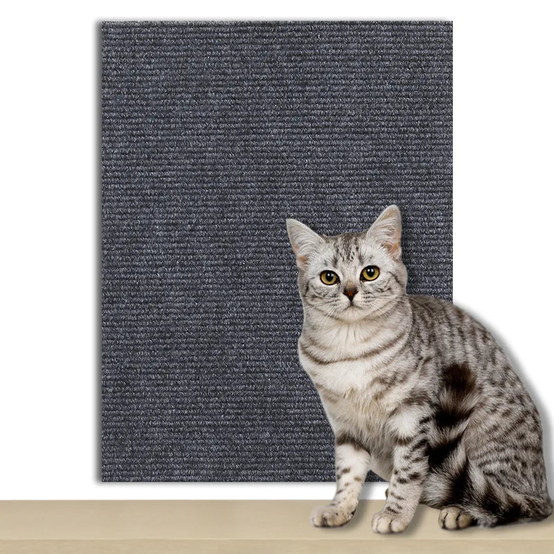 PawShield Mat