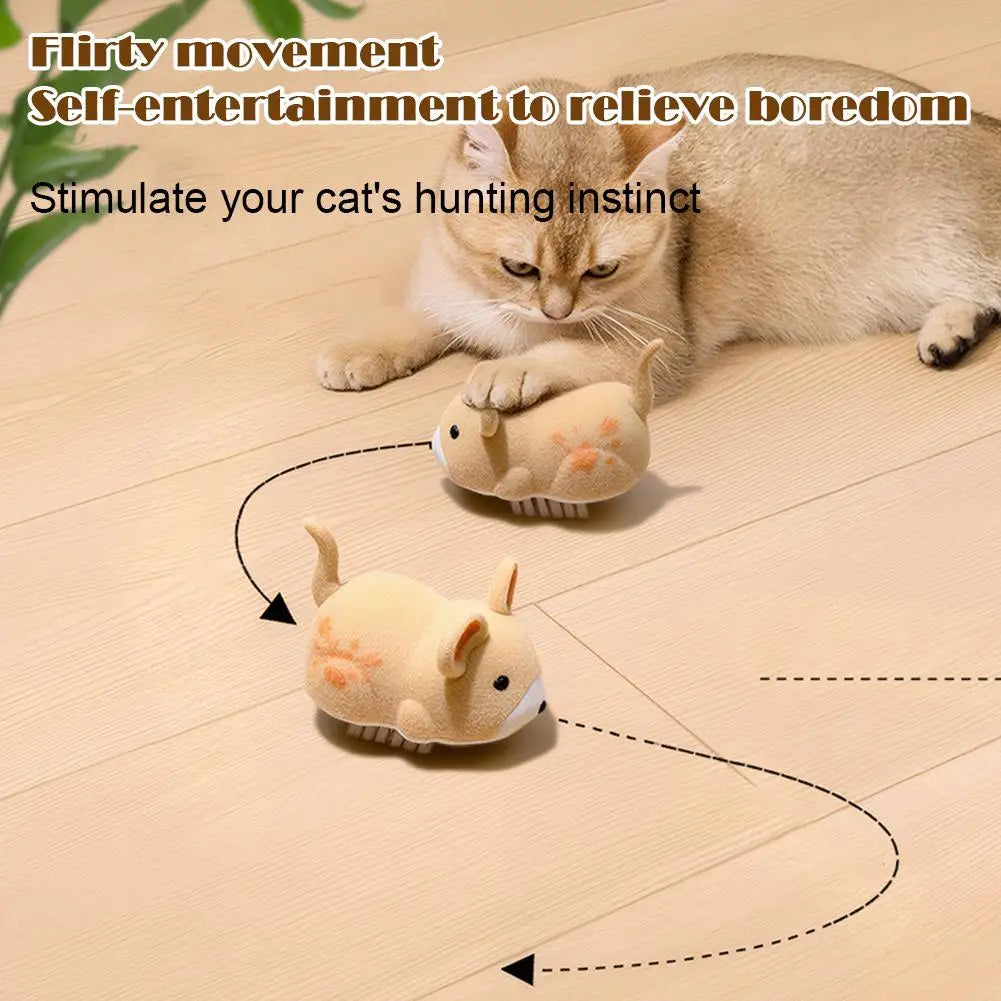 Purr Chase Mouse