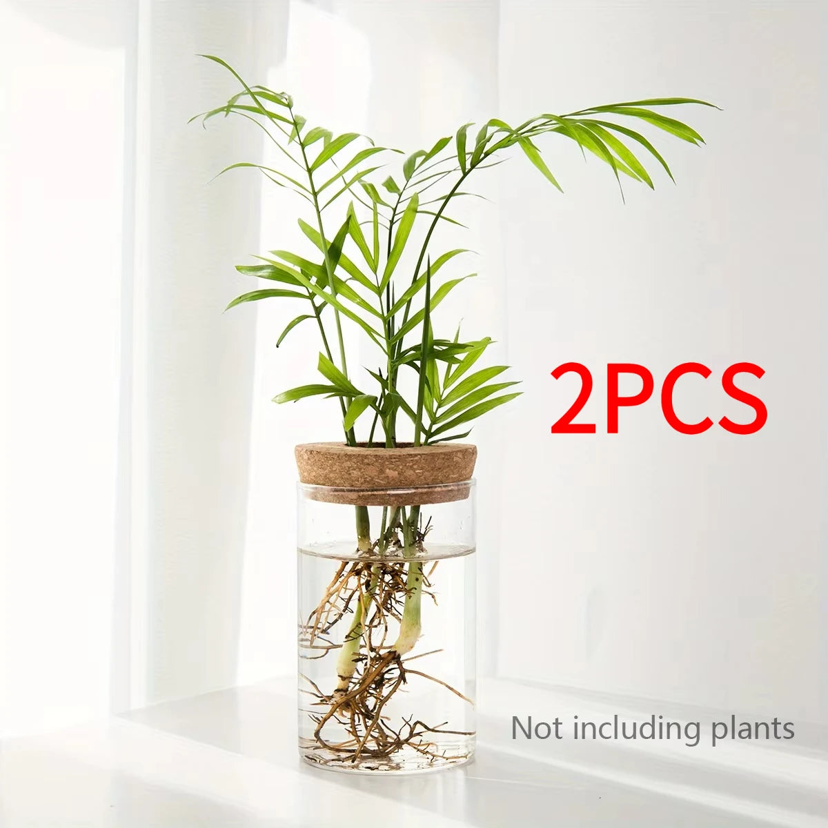 Bloom Glass Planter