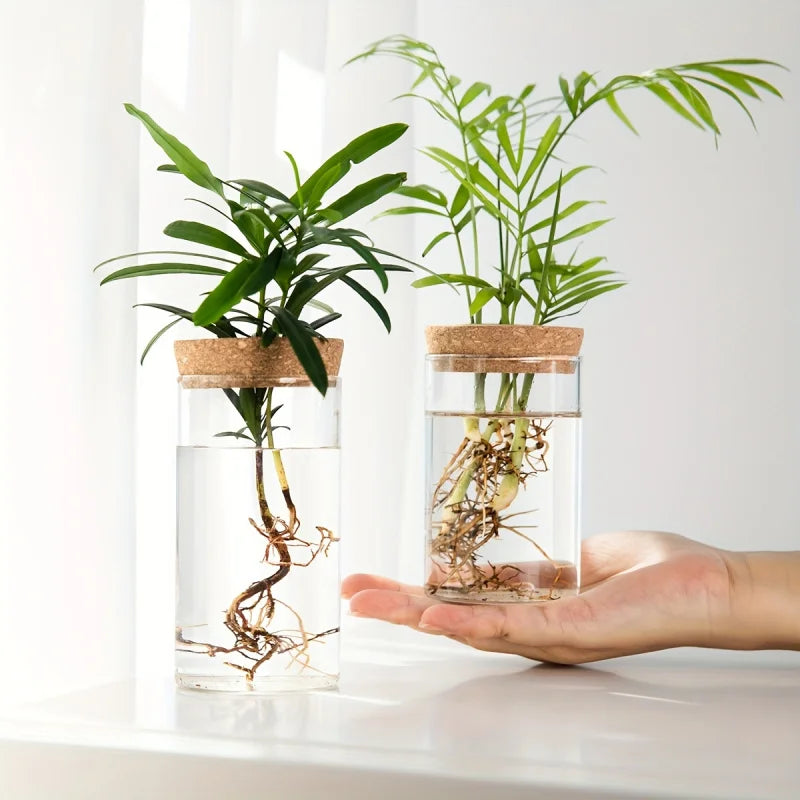 Bloom Glass Planter