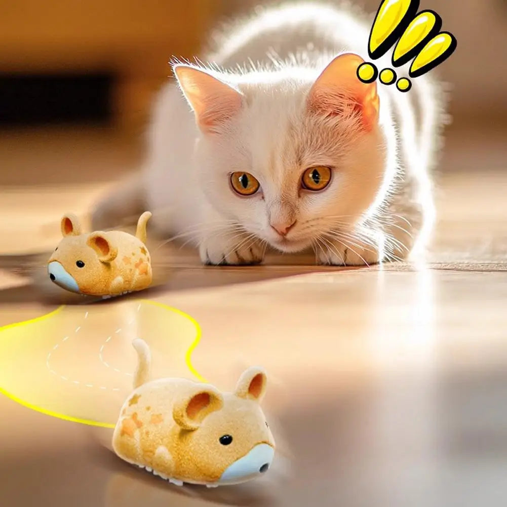 Purr Chase Mouse