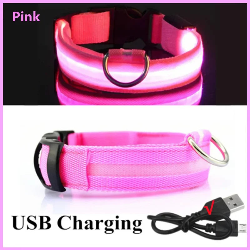 Rechargeable Glow Collar