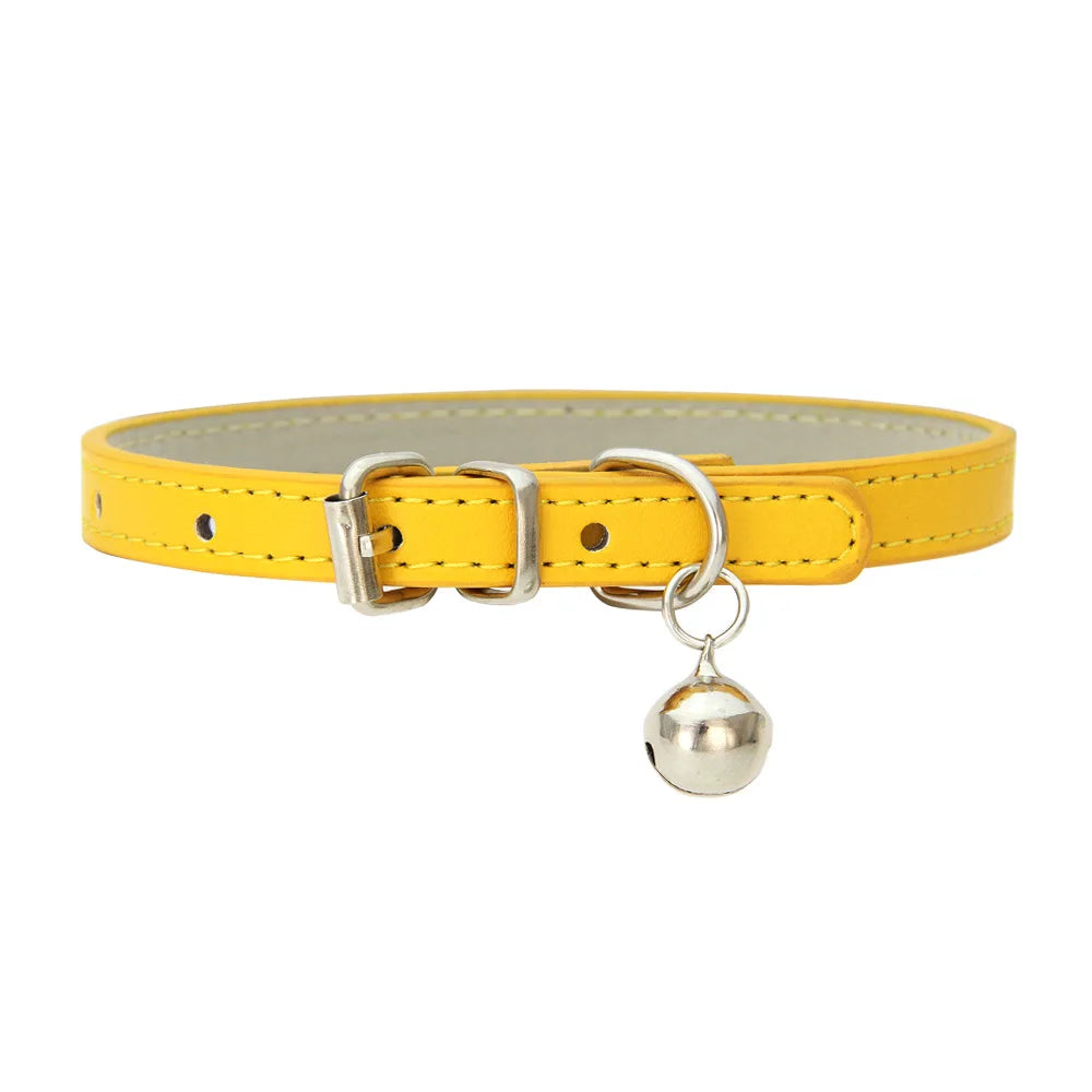 PetCharm Collar